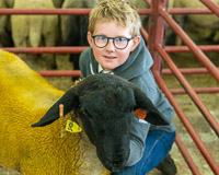 Longtown Mart Young Handlers sponsored by Farmers Guardian - 8th August 2024-5